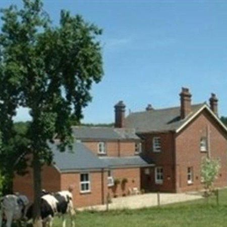 Вилла Mill Farm Эксетер Экстерьер фото